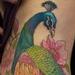 Tattoos - Peacock - 94951